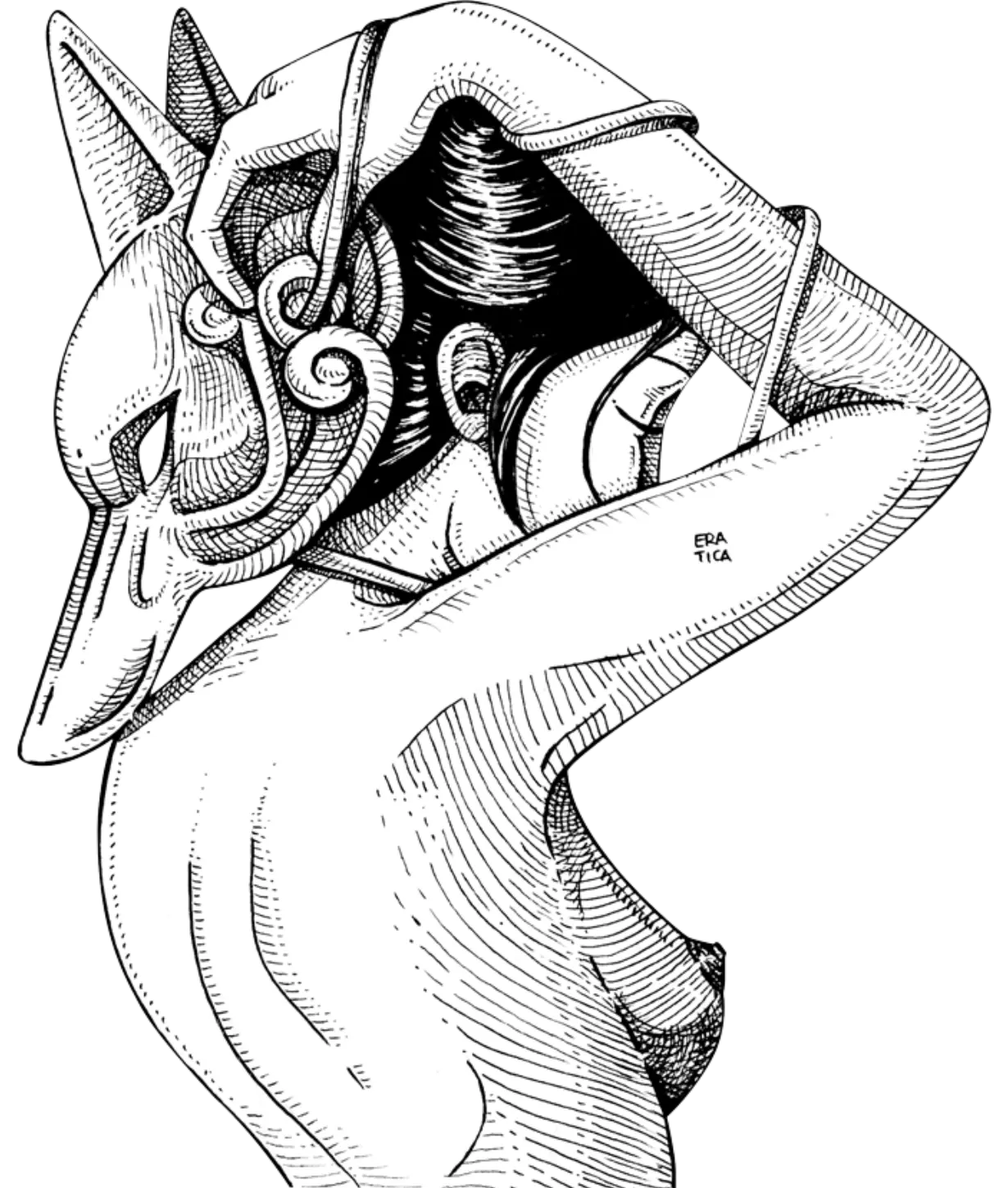 Lidia Cestari - Illustrazioni